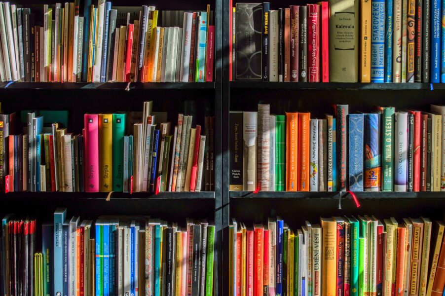 banned books, Horne, Hoffman, legislature,